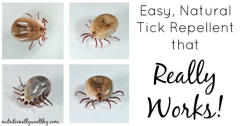 Easy, Natural Tick Repellent That Really Works