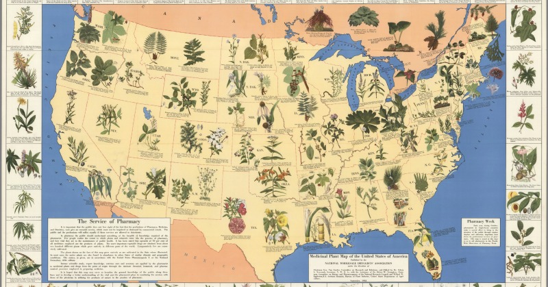 "Medicinal Plant Map of the United States of America." Edwin Newcomb and the National Wholesale Druggists' Association, 1932.
